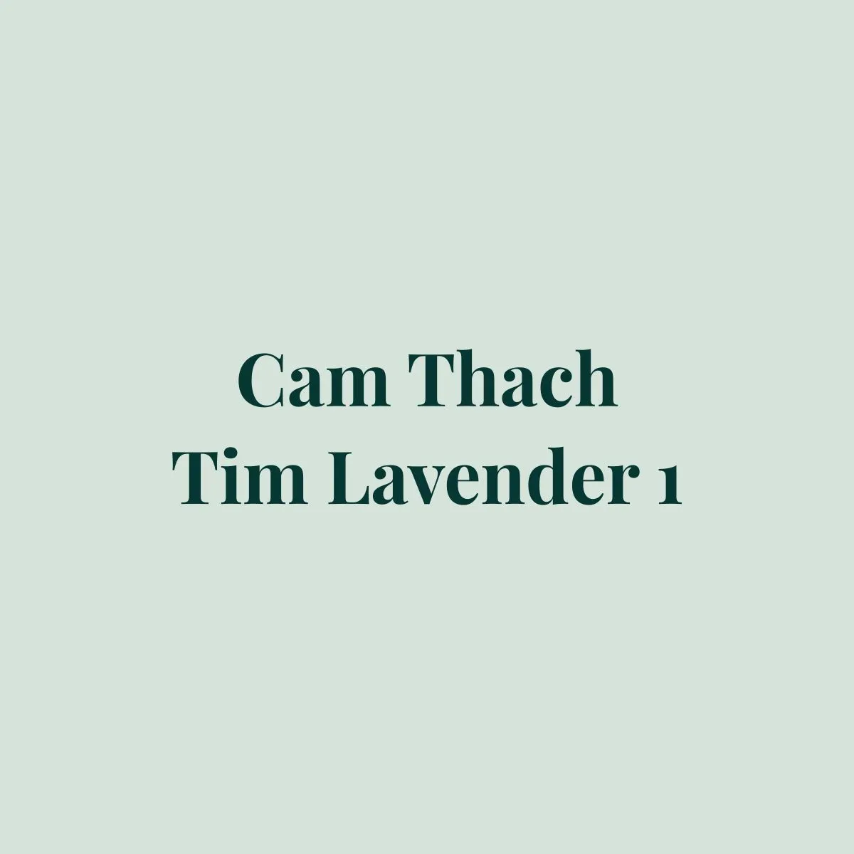 Vòng Cẩm Thạch Tím Lavender
